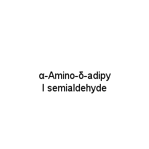 α-Amino-δ-adipyl semialdehyde